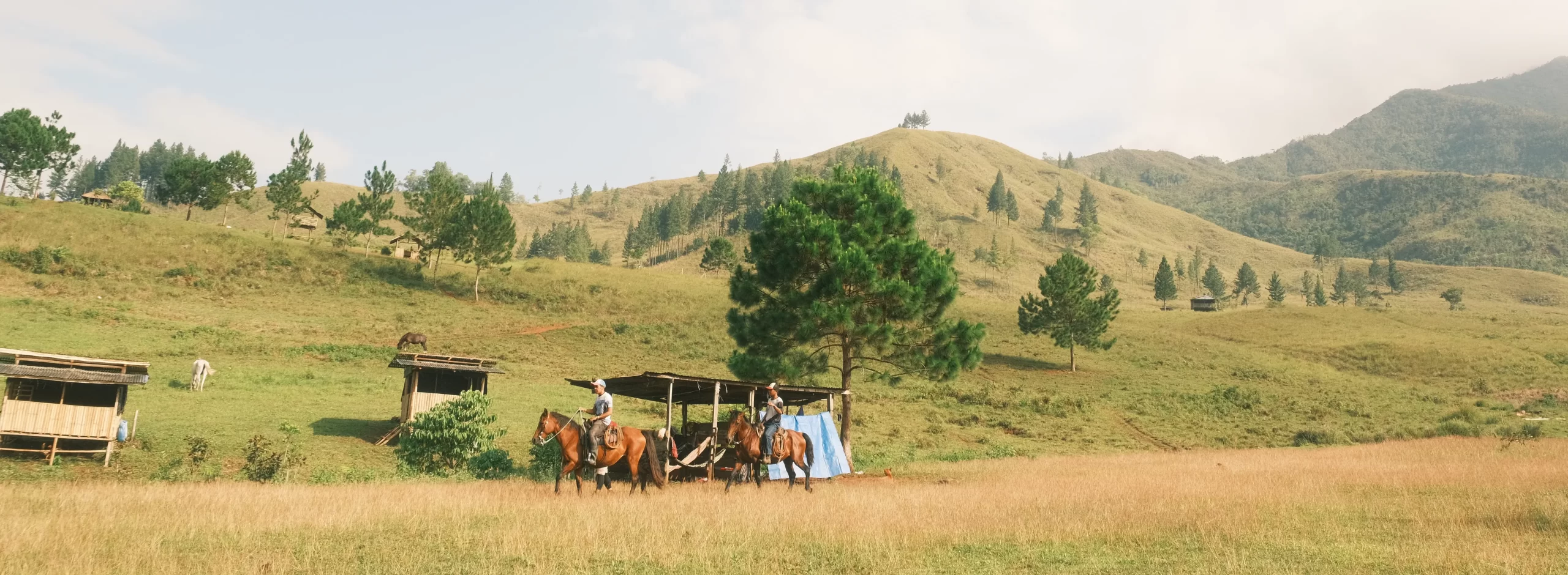 Men horseback riding at Sabangan campsite 