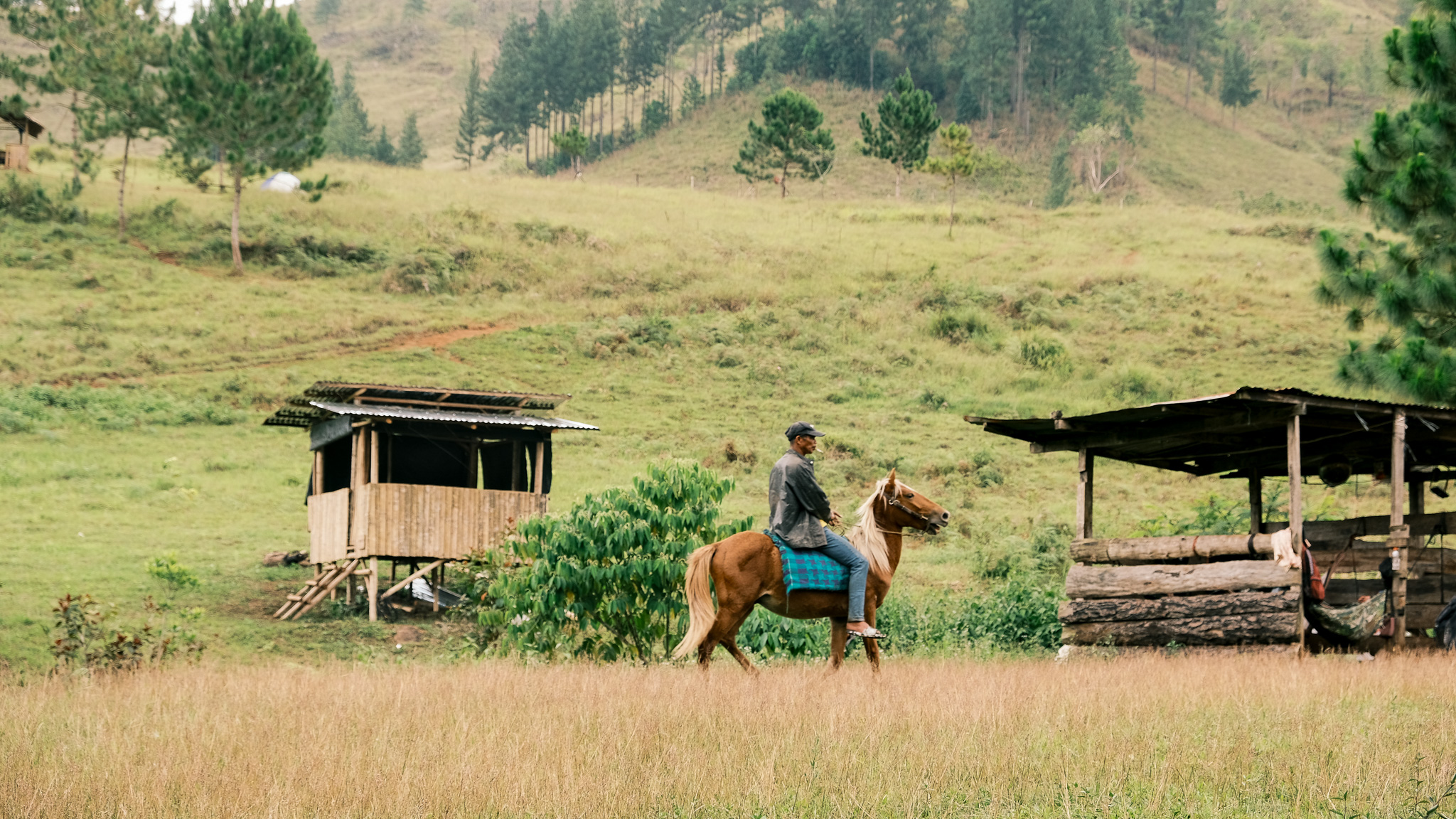 A man riding a horse in Sabangan campsite