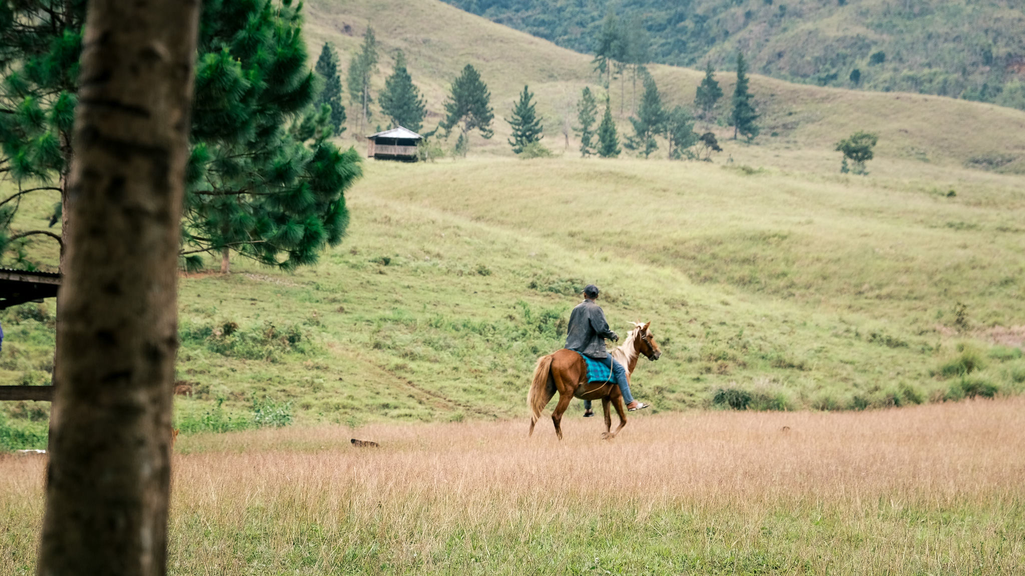 A man riding a horse in Sabangan campsite