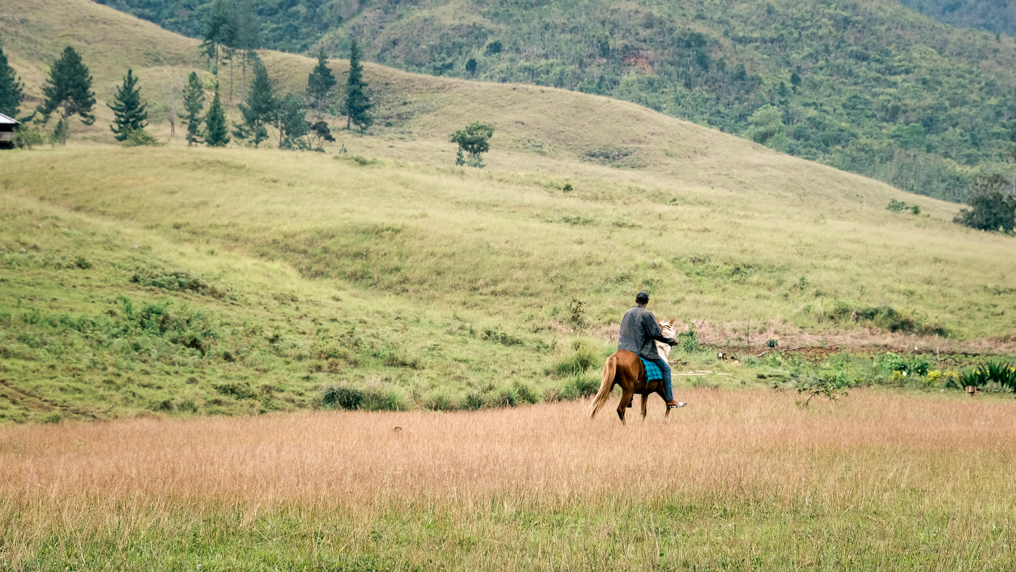 A man riding a horse in Sabangan campsite -  a farther view