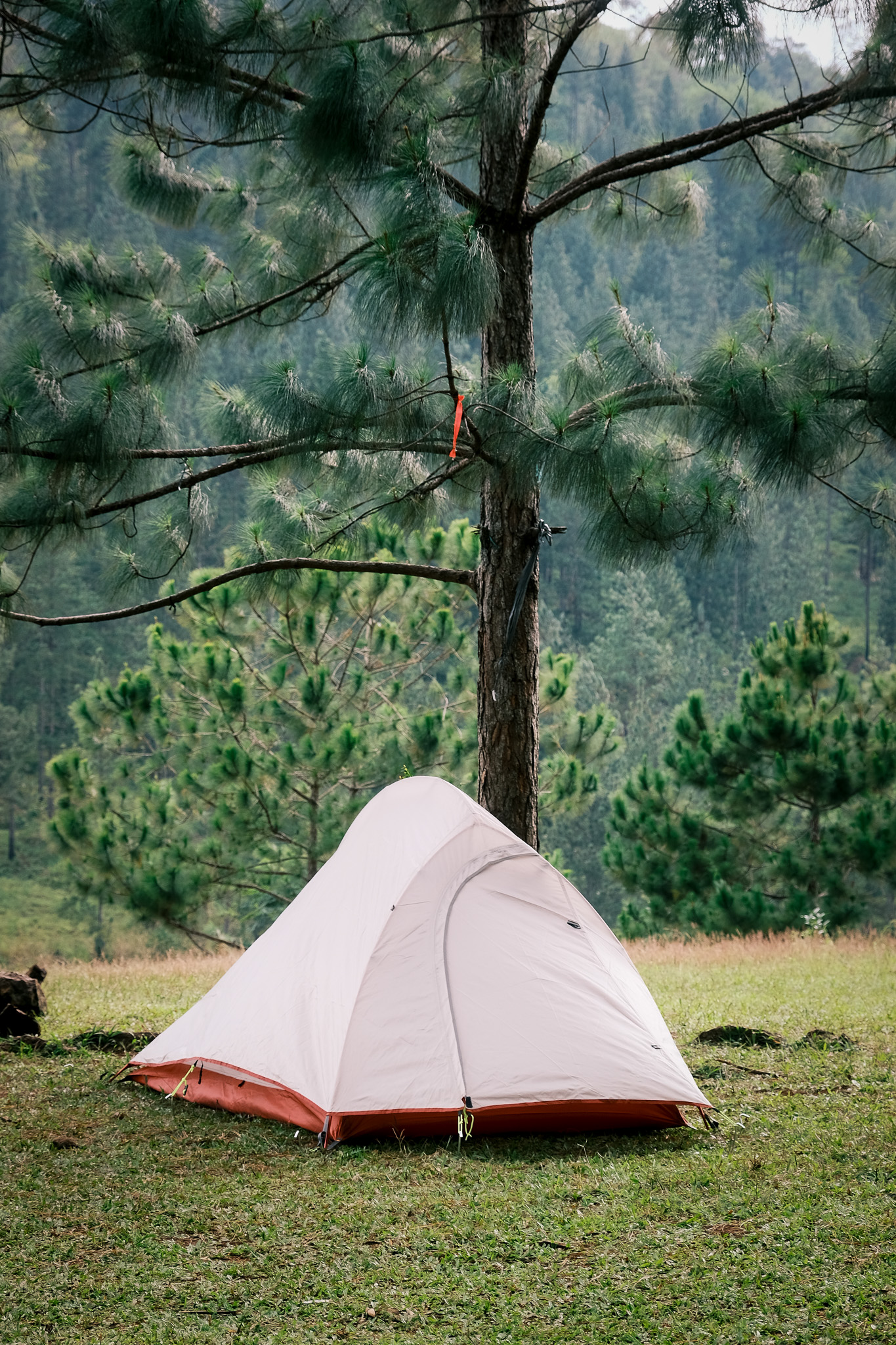 A white tent in Sabangan camp site