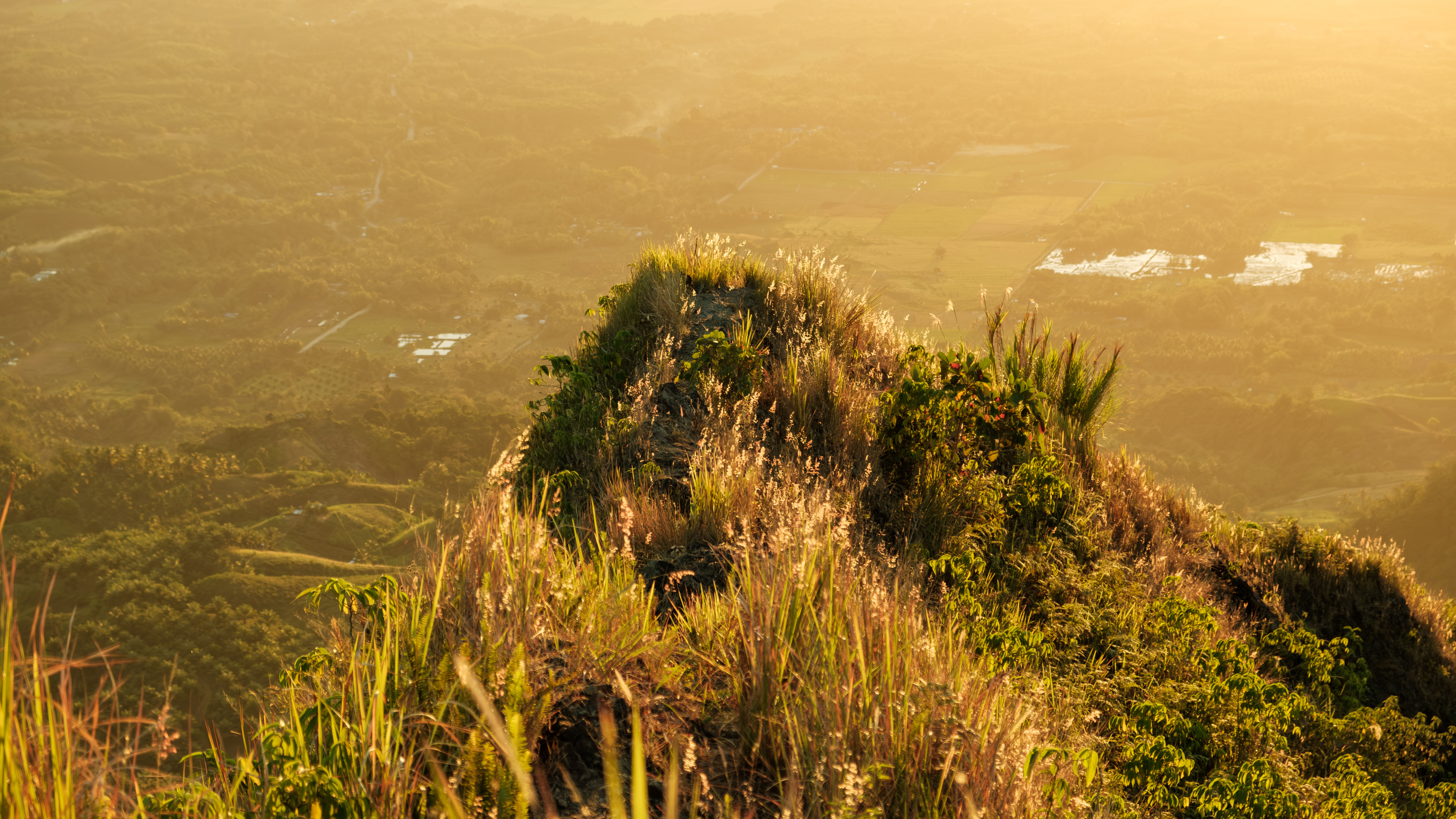 Image of Ugis Peak at sunrise