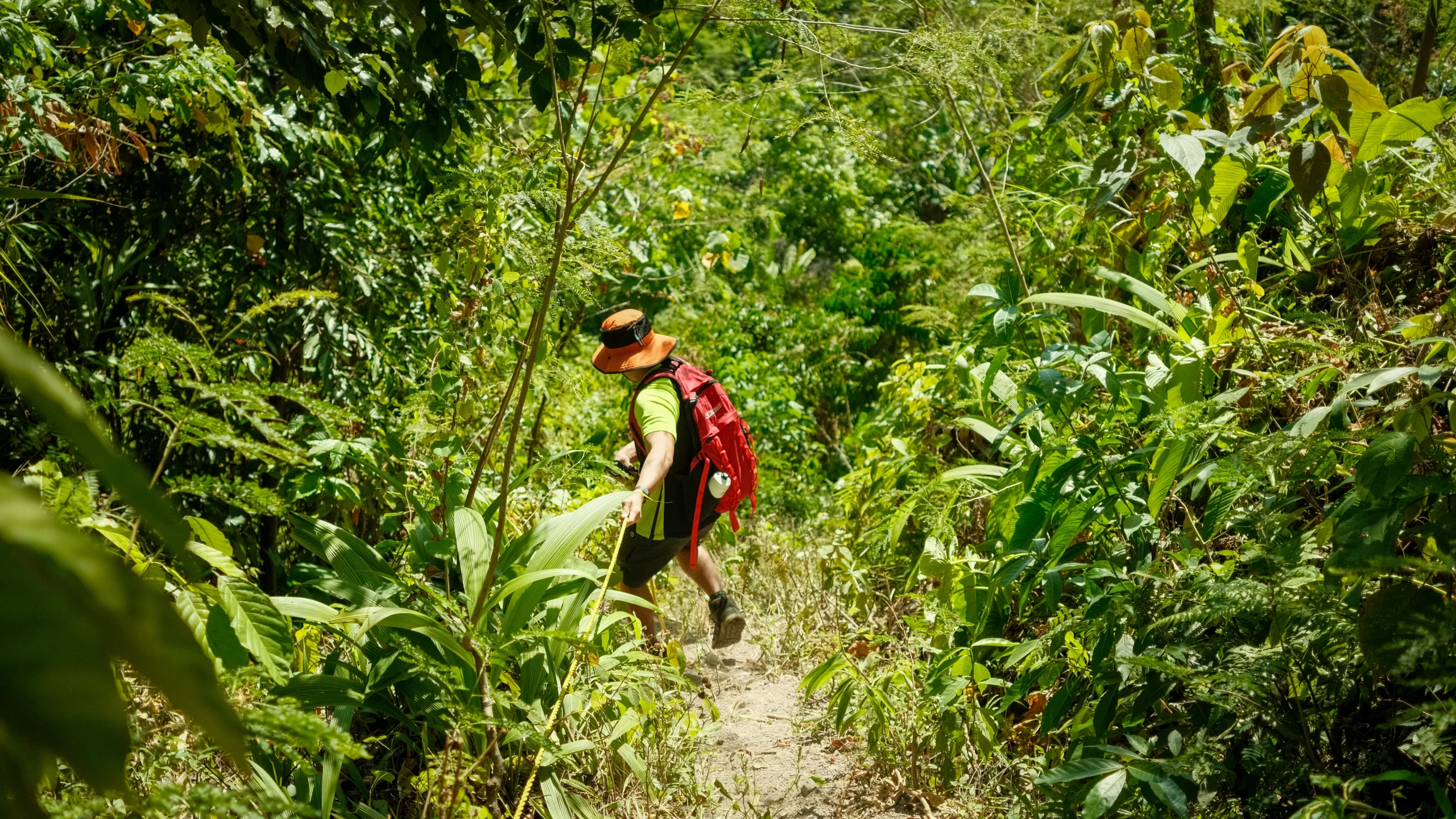 A hiker descending the steep trail of Ugis Peak and holding to a rope